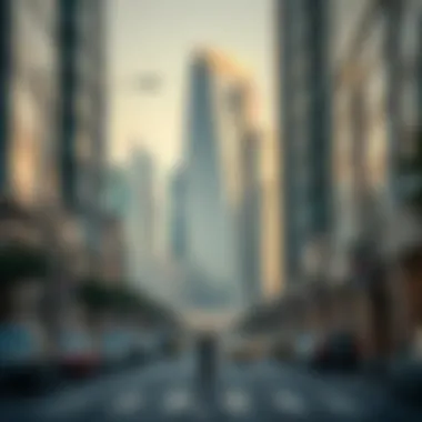 Magnificent An In-depth Exploration of Khalifa Bin Zayed Street Magnificent An In-depth Exploration of Khalifa Bin Zayed Street