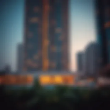 Magnificent Optimal Living Areas in Dubai for Single Professionals
