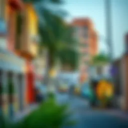 Vibrant neighborhood showcasing affordable housing options in Dubai