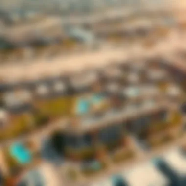 Aerial view of the Amaranta community highlighting its layout