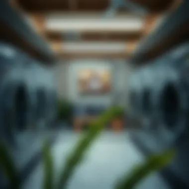 Sustainable Laundry Practices in Arjan Eco-friendly laundry services emphasizing sustainable practices