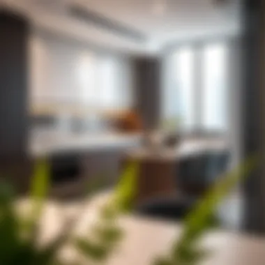 Modern kitchen design in a Centre Residence apartment