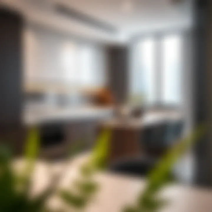 Modern kitchen design in a Centre Residence apartment