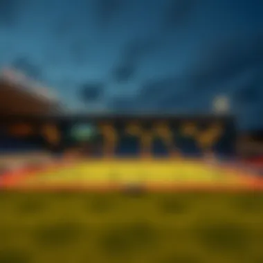 Modern sports facilities in Danube Sports City highlighting community engagement