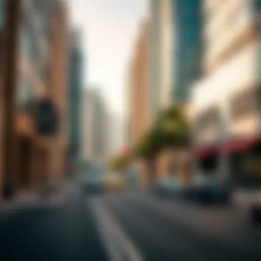 Exploring 2nd December Street: A Comprehensive Insight into Dubai's Urban Fabric Summary Exploring 2nd December Street: A Comprehensive Insight into Dubai's Urban Fabric Summary