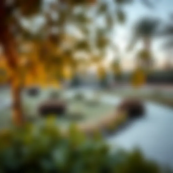 Beautiful landscaped park in المرابع العربية 2