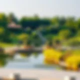 A panoramic view of Al Twar Pond Park showcasing its lush greenery and serene pond