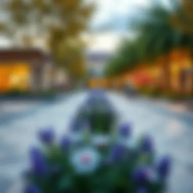 Vibrant Community Spaces Surrounding Blue Bells Vibrant community spaces surrounding Blue Bells properties