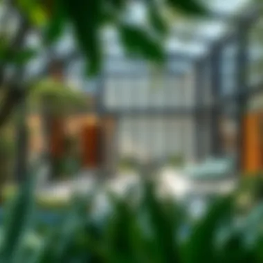 Exploring Discovery Gardens: A Comprehensive Guide to Renting a Room Summary