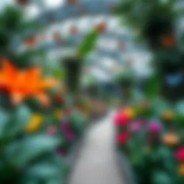 Dubai Butterfly Garden: Nature’s Artistry The intricate design of Dubai Butterfly Garden filled with colorful butterflies and exotic plants