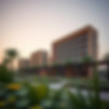 Vibrant lifestyle amenities in Jebel Ali, including parks and recreational areas