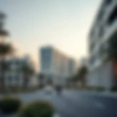 Modern residential development in Jebel Ali reflecting contemporary architecture