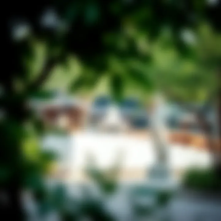 Cultural elements and artworks displayed in Khalifa Park, blending tradition and modernity