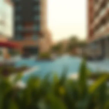 Local amenities and recreational facilities in Nad Al Hamar