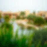 Vibrant community scene in Nad Al Hamar with lush greenery