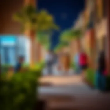 Community dynamics in Jumeirah Village Circle