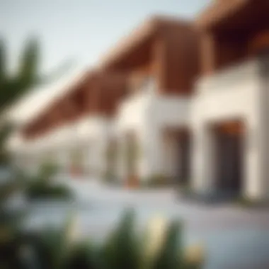 Innovative Housing Designs in UAE Architectural design of modern housing