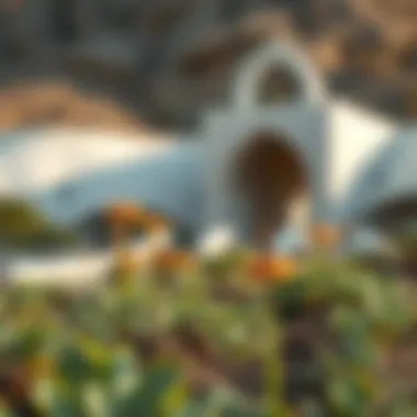 Preserving Flora in Al Waqa'a Conservation efforts in Al Waqa'a aimed at preserving flora