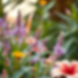 Vibrant flowers native to Al Waqa'a showcasing biodiversity