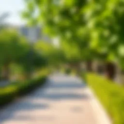 Lush greenery in Qusais community park