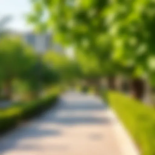 Lush Greenery in Qusais Community Park Lush greenery in Qusais community park