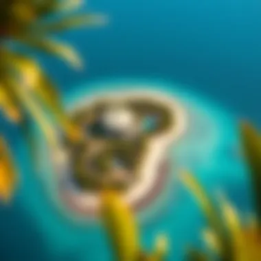 Aerial View of Island Paradise Stunning aerial view of an island near Abu Dhabi showcasing its lush greenery and azure waters