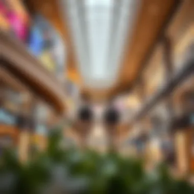 Exploring the Mall of UAQ: A Hub for Retail and Leisure Summary