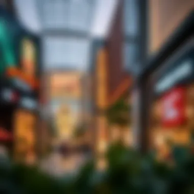 Exploring the Retail Landscape of Dubai: A Focus on Outlets Summary Exploring the Retail Landscape of Dubai: A Focus on Outlets Summary
