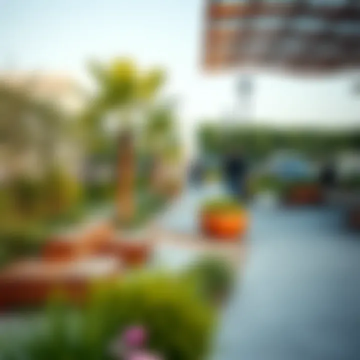 Vibrant community spaces along Dubai's walkways with greenery and seating areas