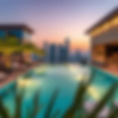 Amenities showcasing the rooftop pool and lounge area