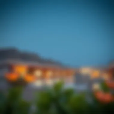 Visual representation of investment opportunities in Wadi Al Murkhaniyah Al Ain