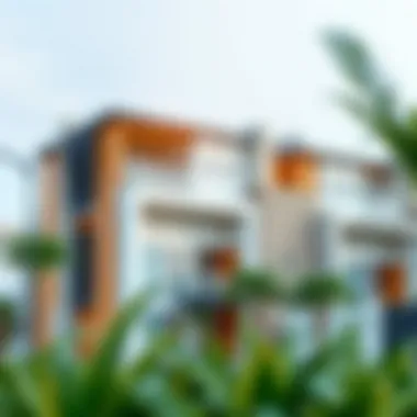 Modern residential properties in Warsan Village reflecting architectural diversity