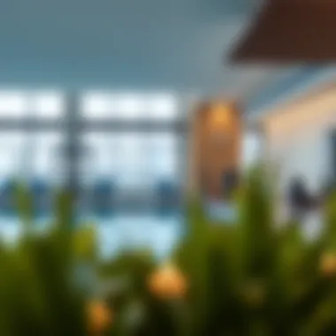 Amenities such as pool and fitness center available at Icon Deluxe