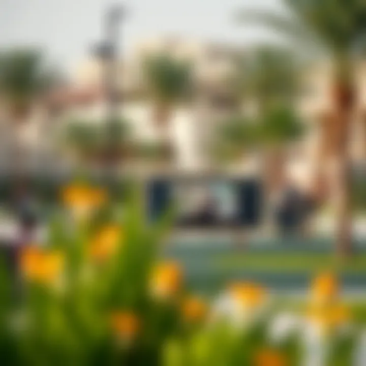 Community amenities including parks and recreational areas in Jumeirah Park