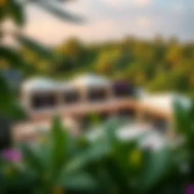 Scenic view of Mushrif Village's prime location with lush greenery