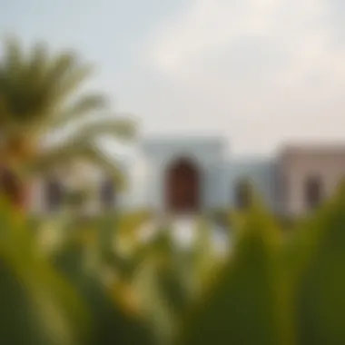 Cultural Heritage of Ras Al Khaimah Cultural heritage site in Ras Al Khaimah