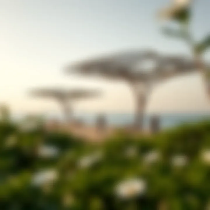 Artistic Fusion in Nature at Noor Island Art installations enhancing the natural landscape of Noor Island