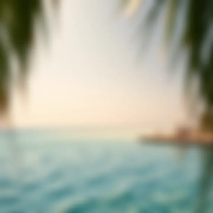 Serene beach scene on Nurai Island with crystal clear waters