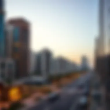 Optimal Living Areas in Dubai for Single Professionals Summary