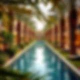 Lush greenery of Ras Al Khaimah's Palm Oasis