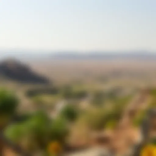 A panoramic view of Ras Al Khor Wildlife Sanctuary showcasing diverse habitats