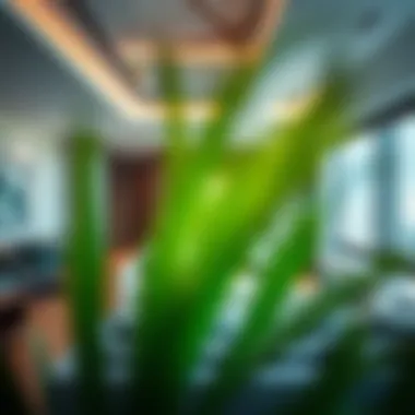 Studio Apartments for Rent in Dubai: A Comprehensive Guide Summary Studio Apartments for Rent in Dubai: A Comprehensive Guide Summary