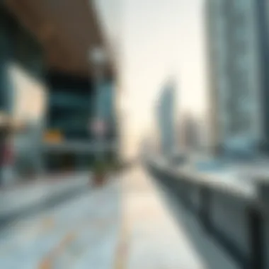 Map highlighting number places and location identifiers in Dubai