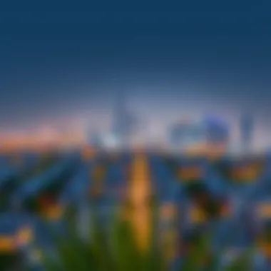 Aerial view of Dubai skyline highlighting residential areas