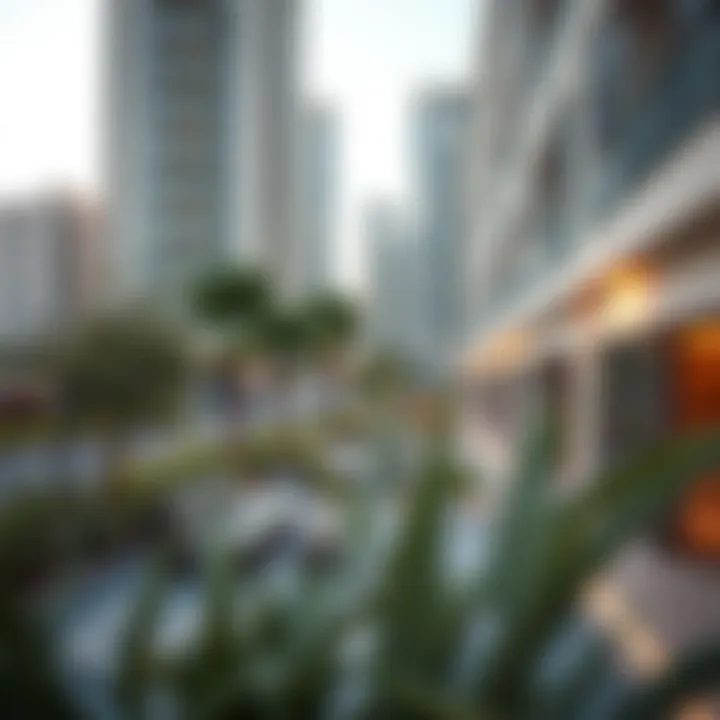 Relaxing urban lifestyle in a 1BHK setting with parks and amenities