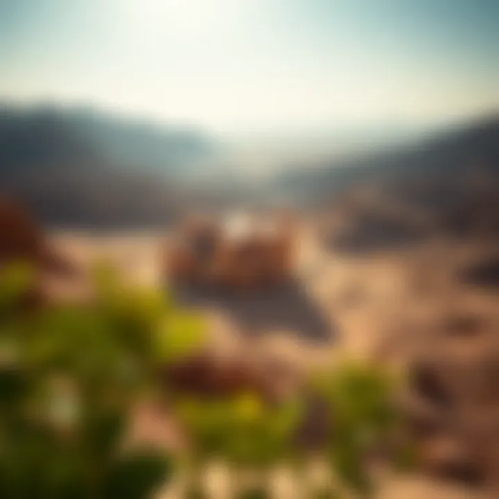 Breathtaking view of Wadi Habb's unique landscape