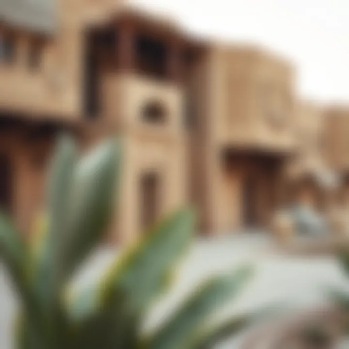 Cultural heritage site in Wadi Habb showcasing local architecture