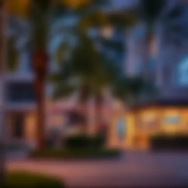 Local amenities available in the vicinity of Zayed University